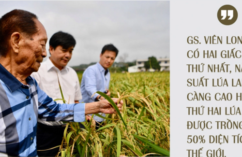 Câu chuyện lúa lai: Một góc nhìn toàn cảnh. Nguồn: Báo Nông nghiệp Việt Nam