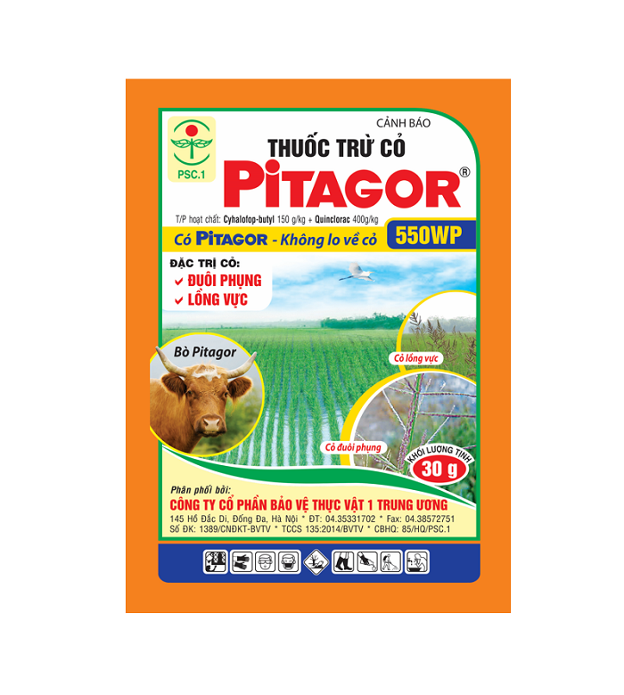 Pitagor 550WP