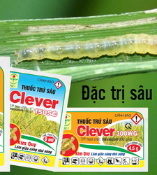 Clever 300WG; 150SC (Indoxacarb)