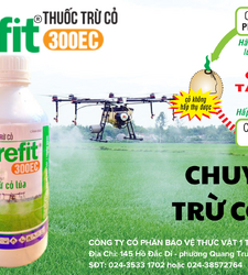Prefit 300EC (Cỏ Lúa tiền nảy mầm)