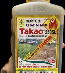 Takao 250SL (Cỏ Cháy)