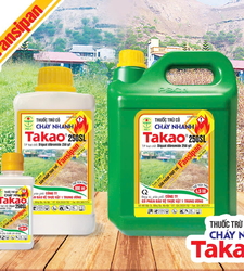 Takao 250SL (Cỏ Cháy)