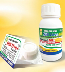 Still Liver 300ME