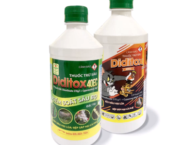 Phòng trừ rệp hại mía bằng sản phẩm Diditox 40EC